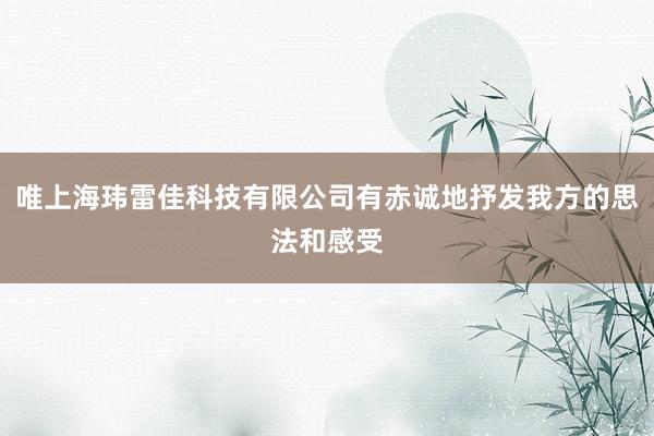 唯上海玮雷佳科技有限公司有赤诚地抒发我方的思法和感受